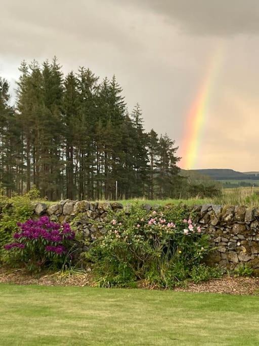 Photo of Others in Saint John's Town of Dalry