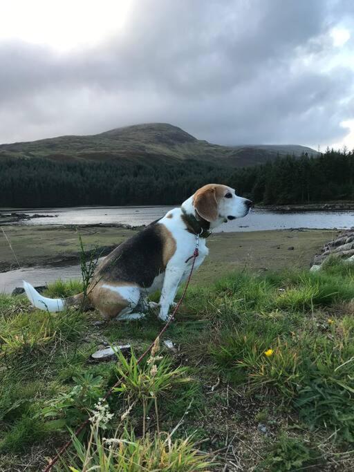 Photo of Others in Saint John's Town of Dalry