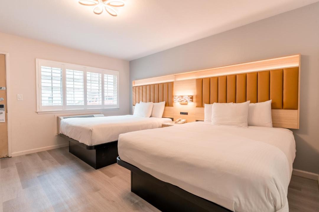 Photo of Others in Pacific Heights