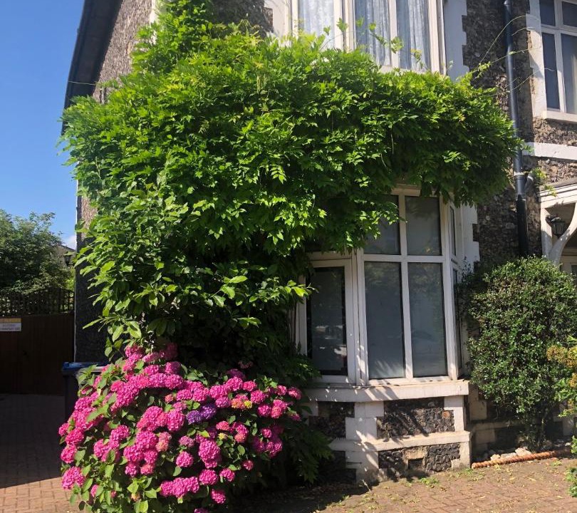 Photo of Others in Waddon