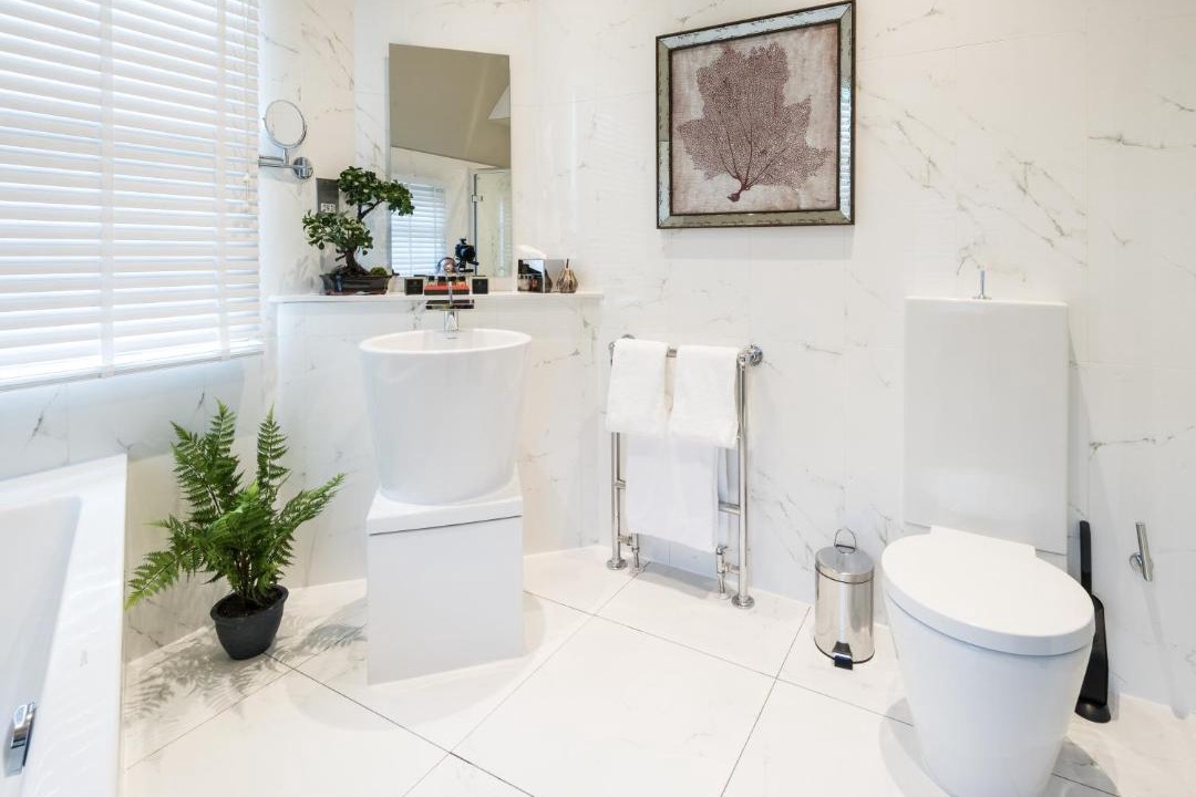 Photo of Others in Auchterarder