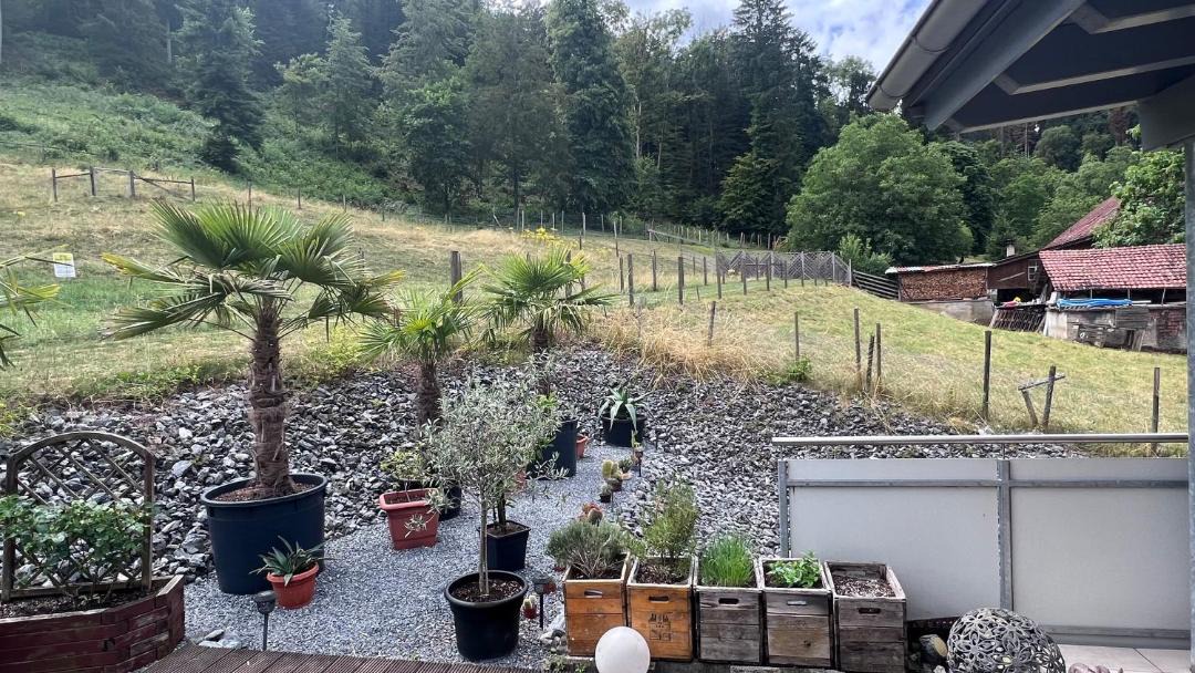 Photo of Others in Eiken