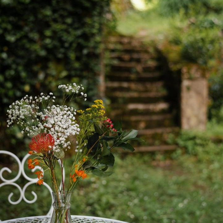 Photo of Others in Autoire