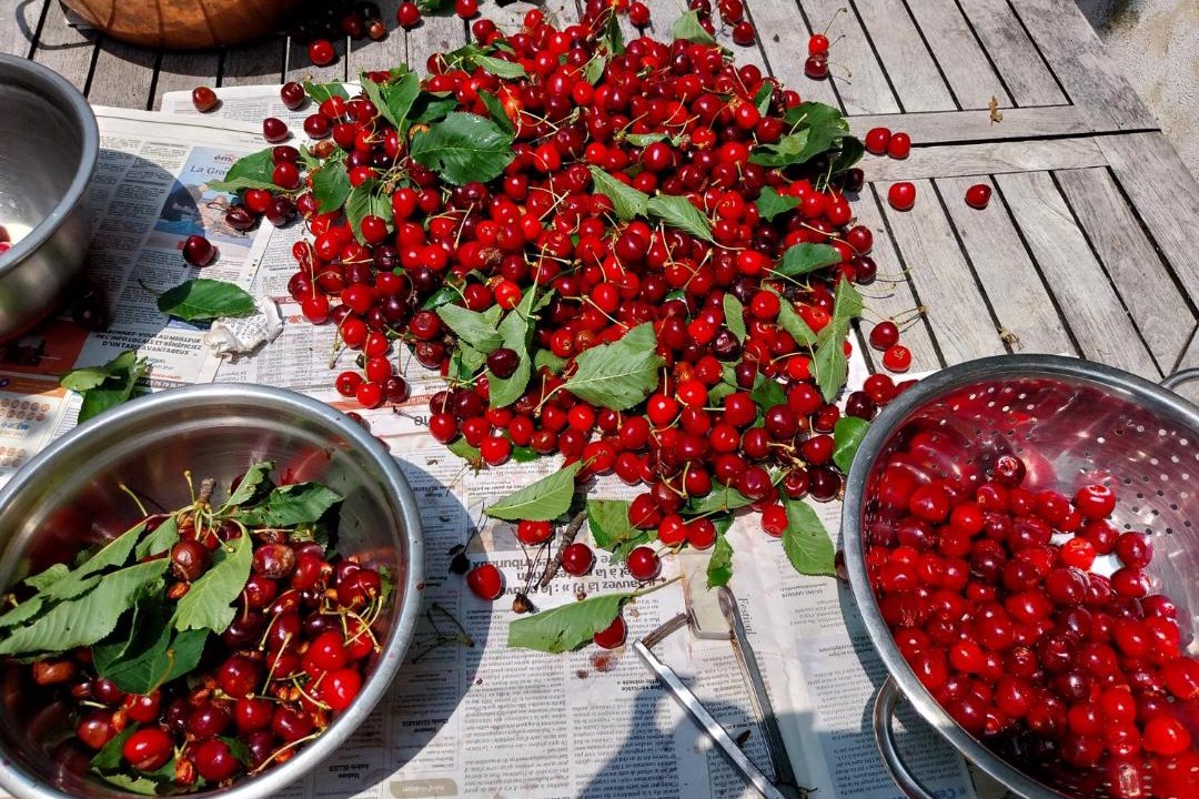 Photo of Others in Greolieres