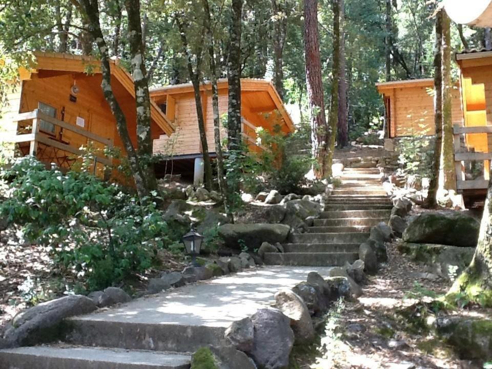 Photo of Others in Calenzana