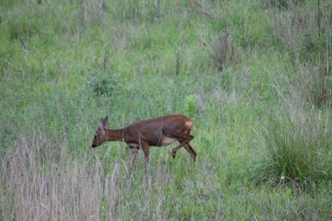 Photo of Others in Verneuil-en-Halatte