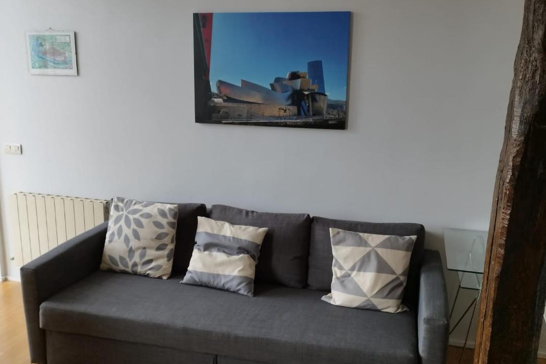 Photo of Livingroom in Bilbao la Vieja