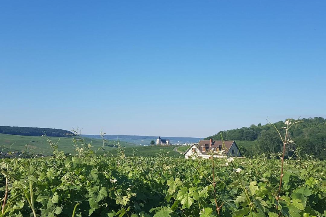 Photo of Others in Damery