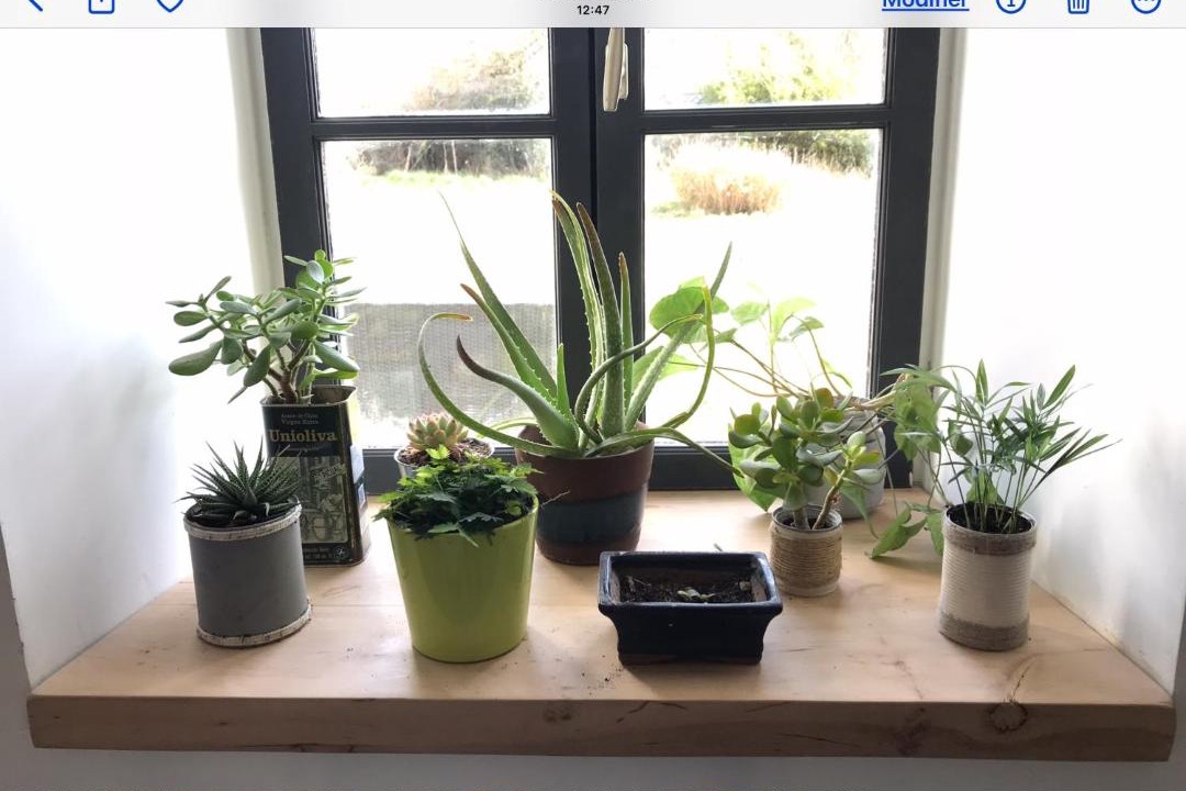 Photo of Others in Thury