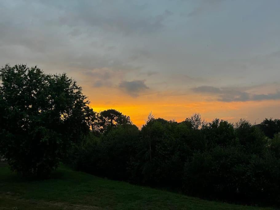 Photo of Others in Le Teich