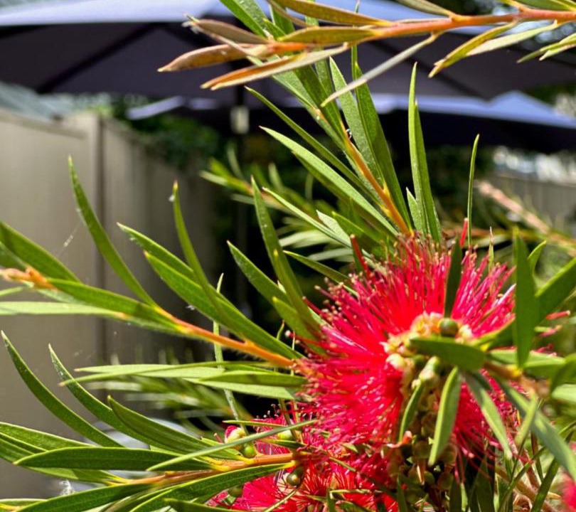 Photo of Others in Shanklin