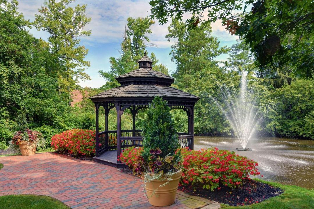 Photo of Others in Hamilton