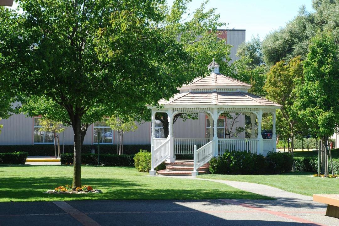 Photo of Others in Oakland