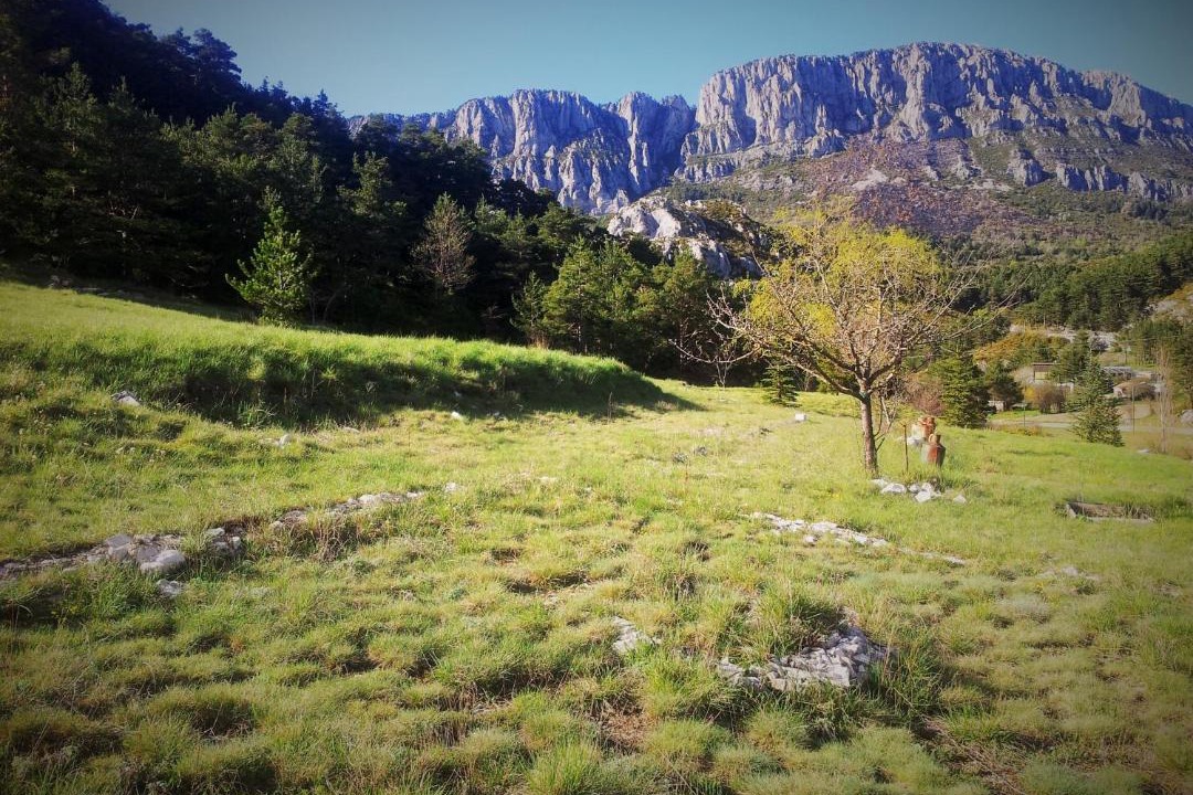 Photo of Others in Seranon