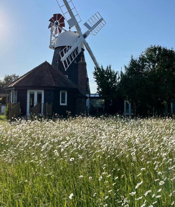 Photo of Others in Swaffham Prior