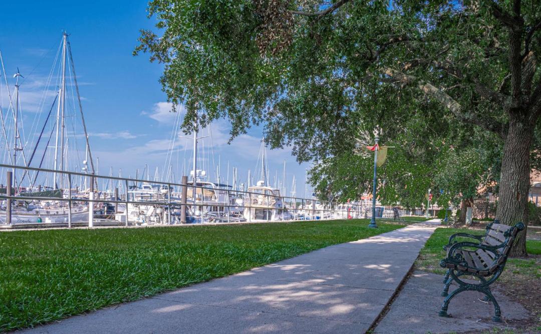Photo of Others in New Bern