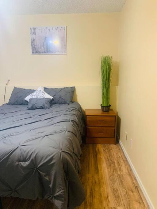 Photo of Others in Southeast Colorado Springs