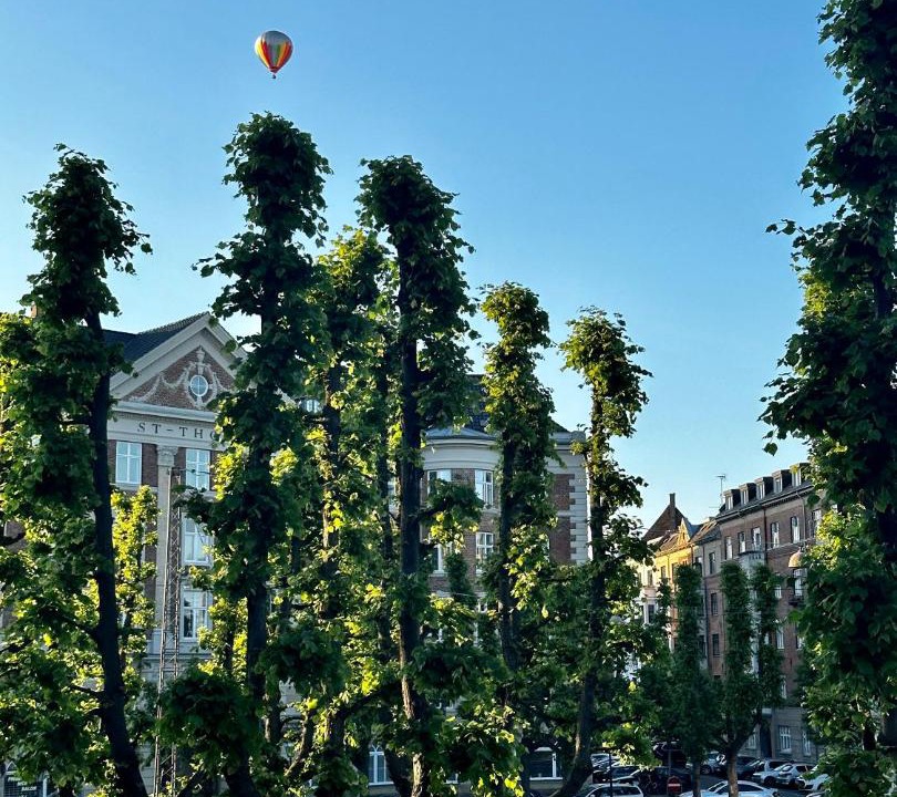 Photo of Others in Frederiksberg C