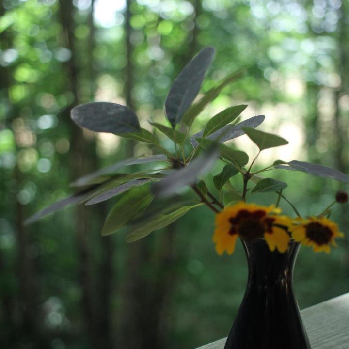 Photo of Others in Lempzours