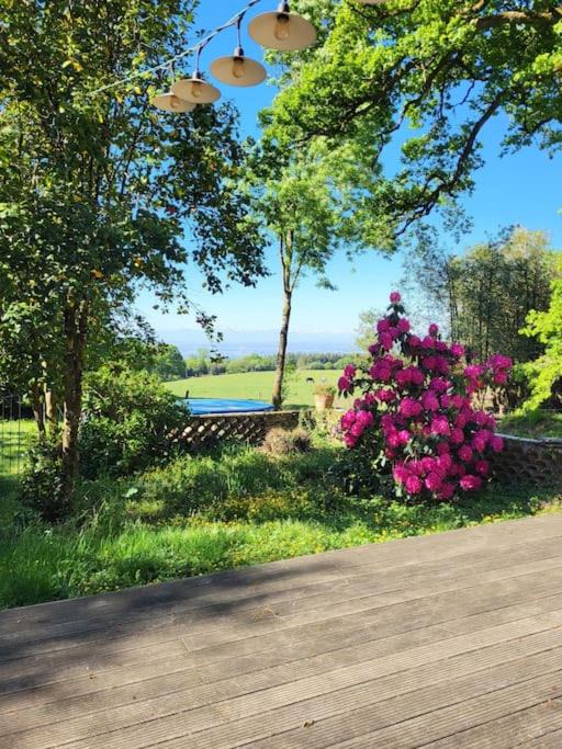 Photo of Outdoor in Verdun-en-Lauragais