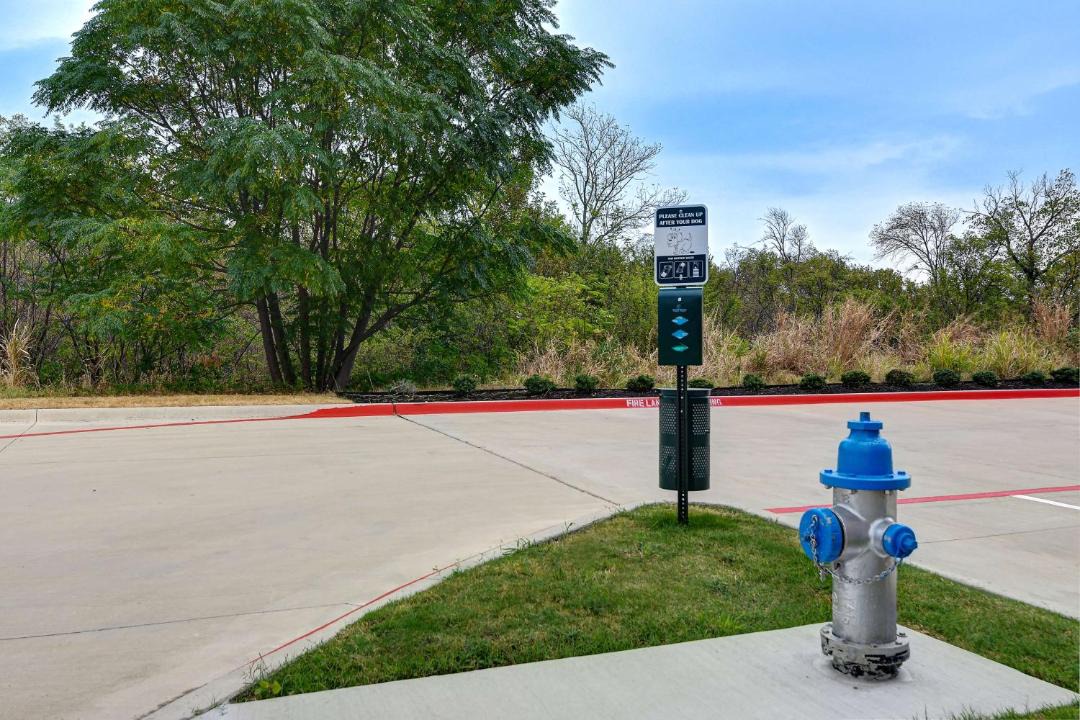 Photo of Others in Plano