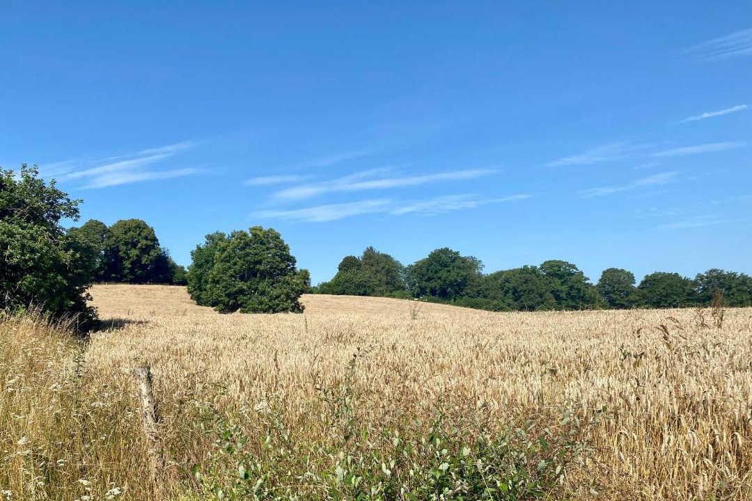 Photo of Others in Champagnac-la-Riviere