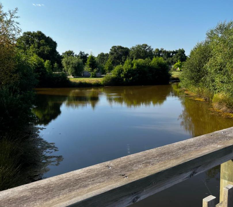 Photo of Others in Le Teich