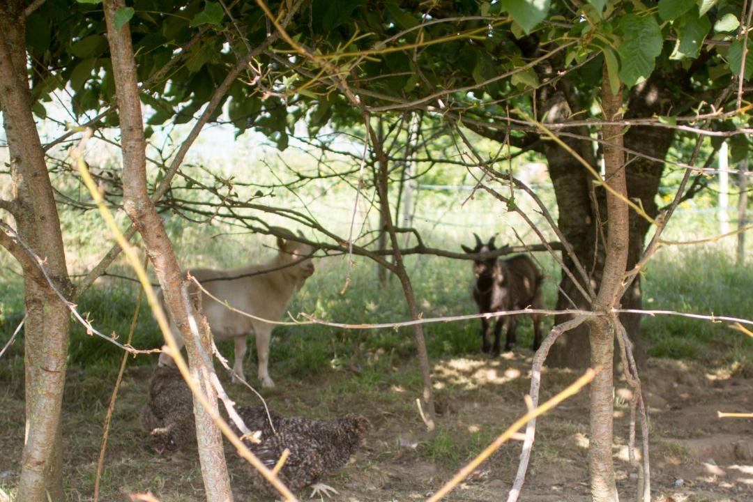 Photo of Others in Frevillers