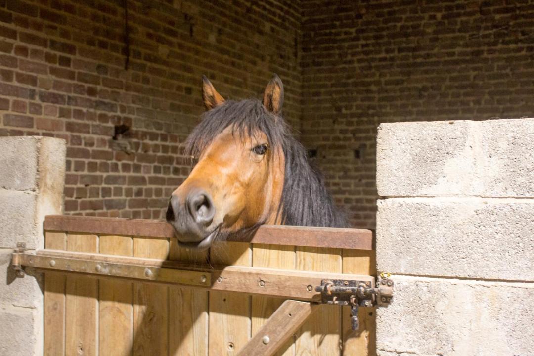 Photo of Others in Frevillers