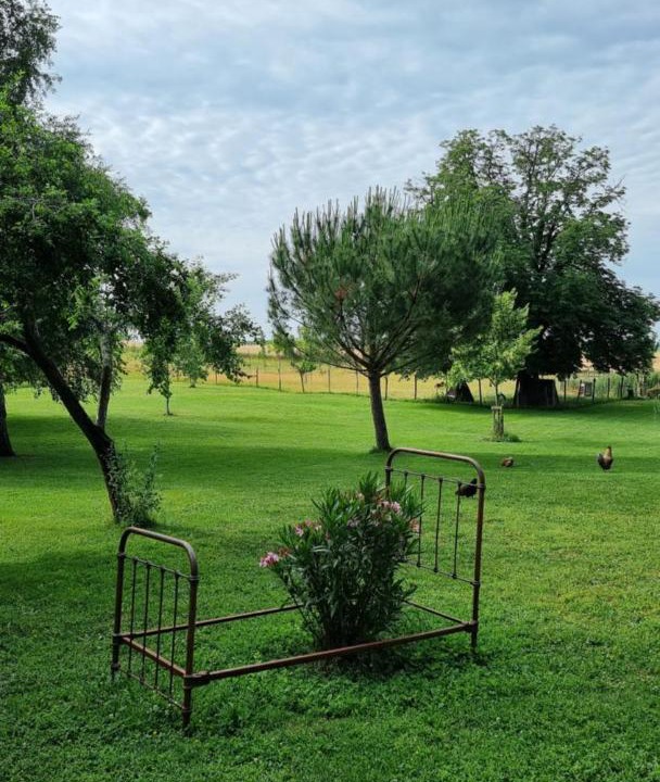 Photo of Outdoor in Fontaines-d'Ozillac