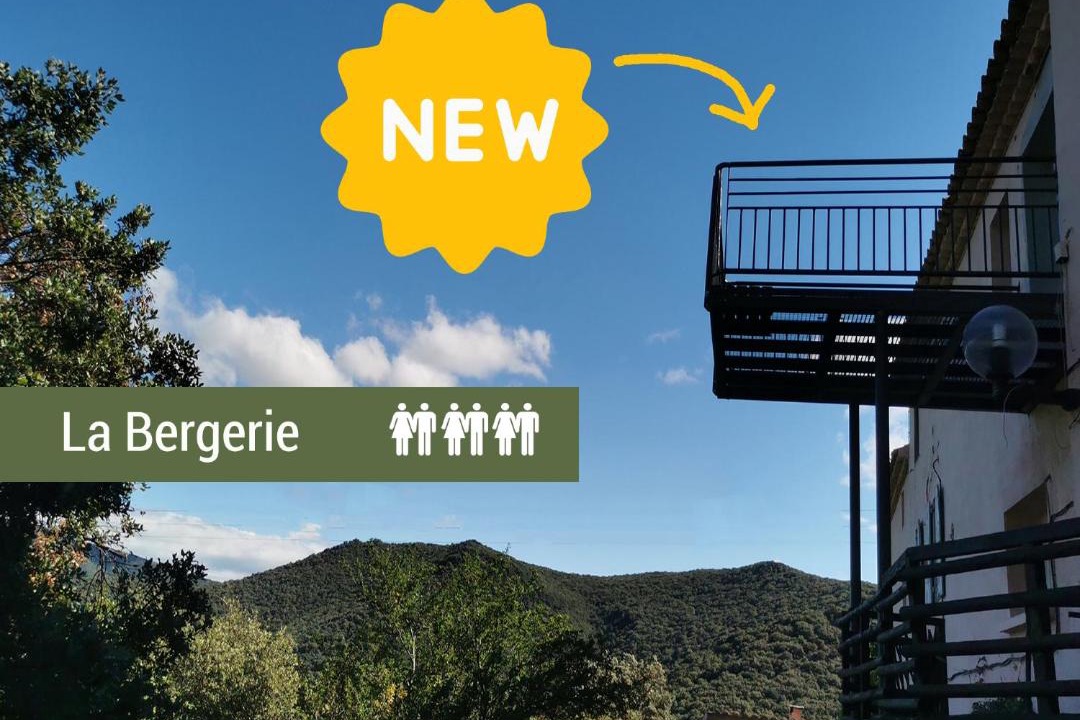 Photo of Others in Felluns