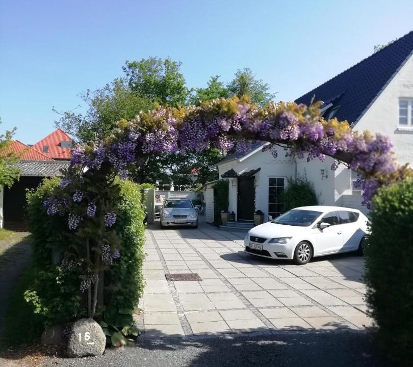 Photo of Others in Kerteminde