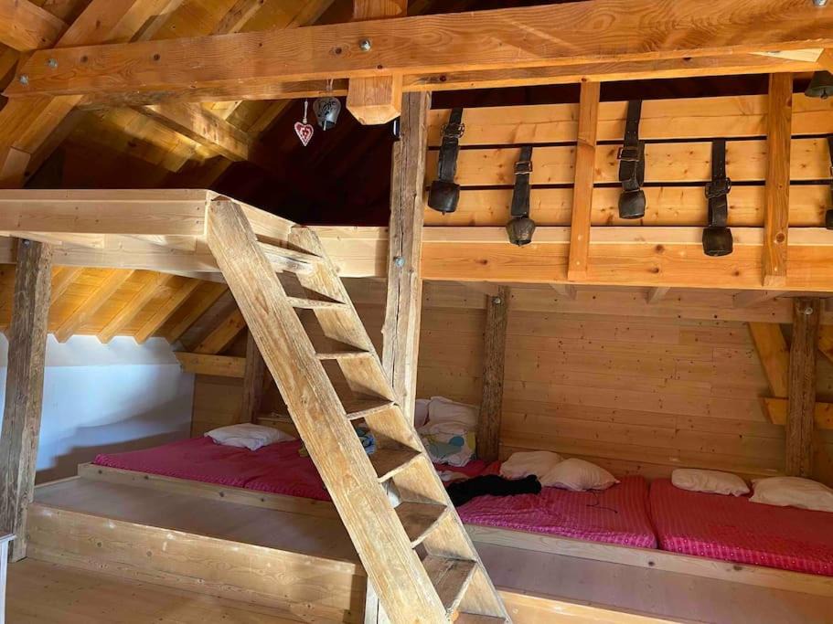 Photo of Others in Mens