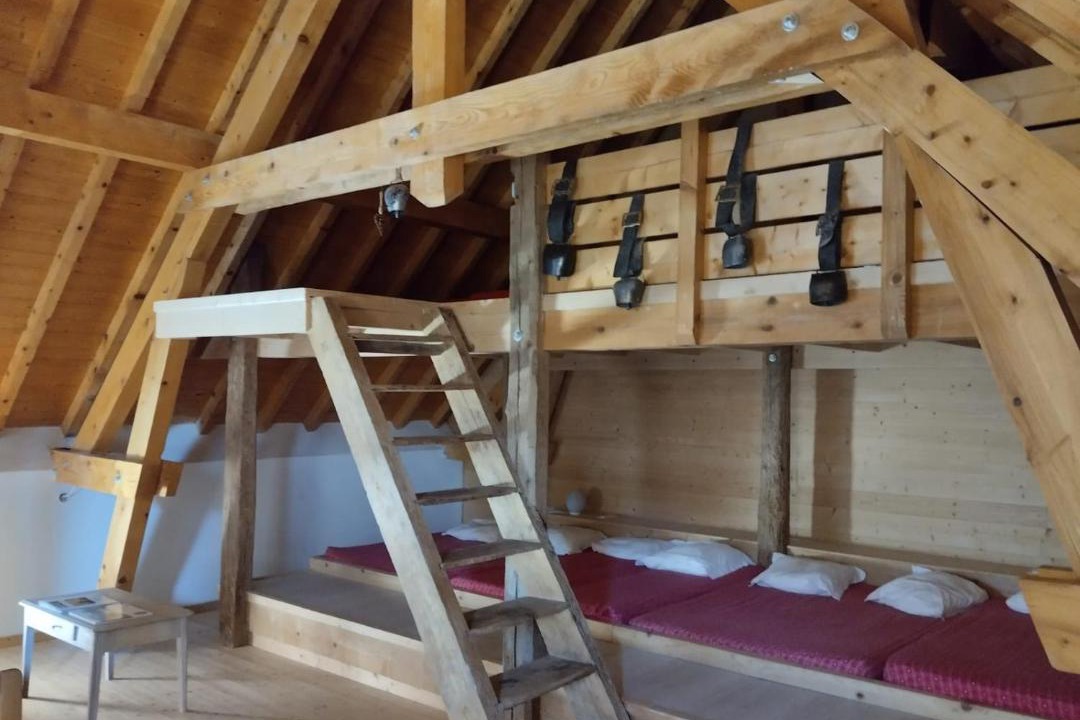 Photo of Others in Mens