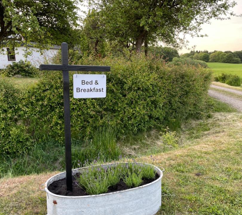 Photo of Others in Haderslev