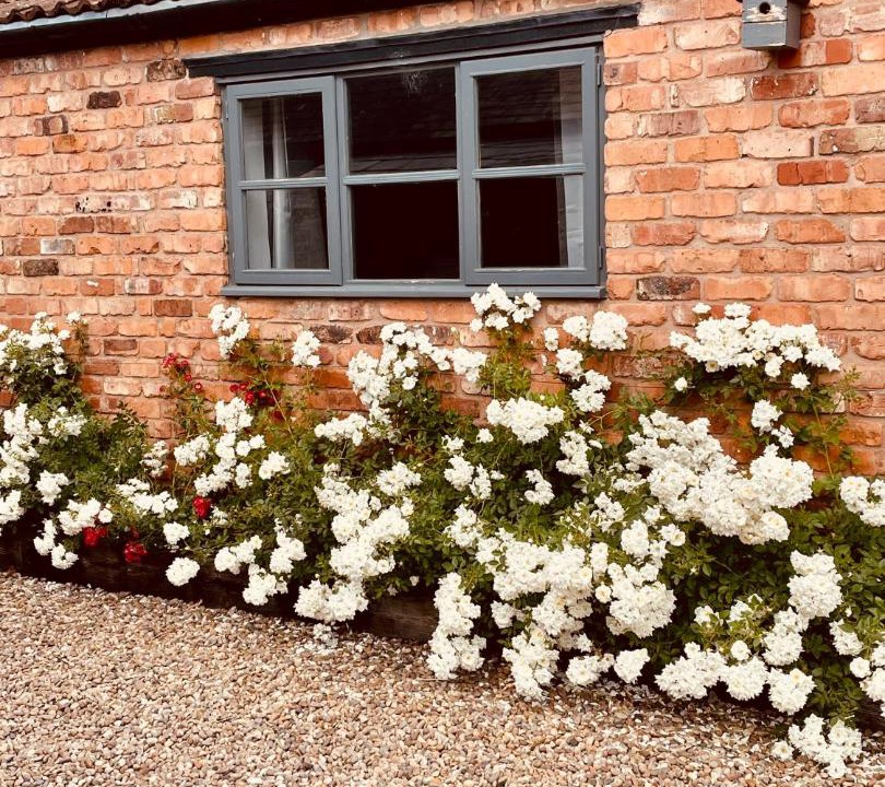 Photo of Others in Castle Bytham