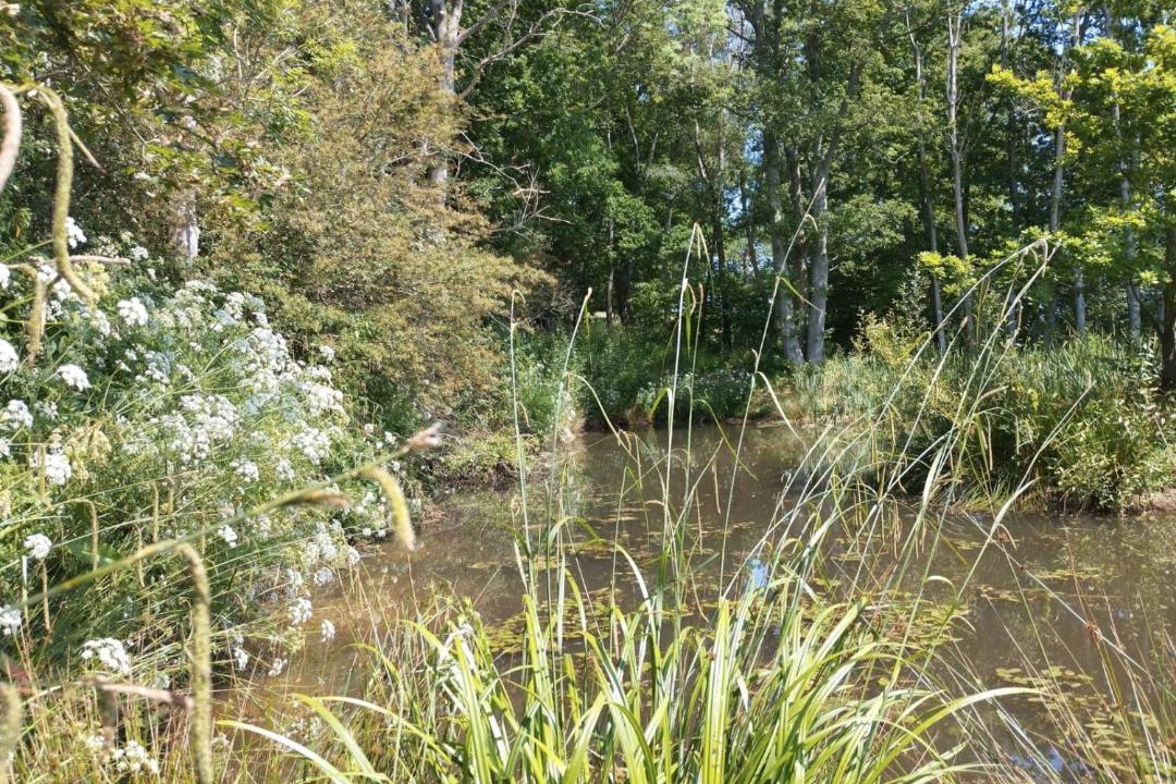 Photo of Others in Hadlow Down