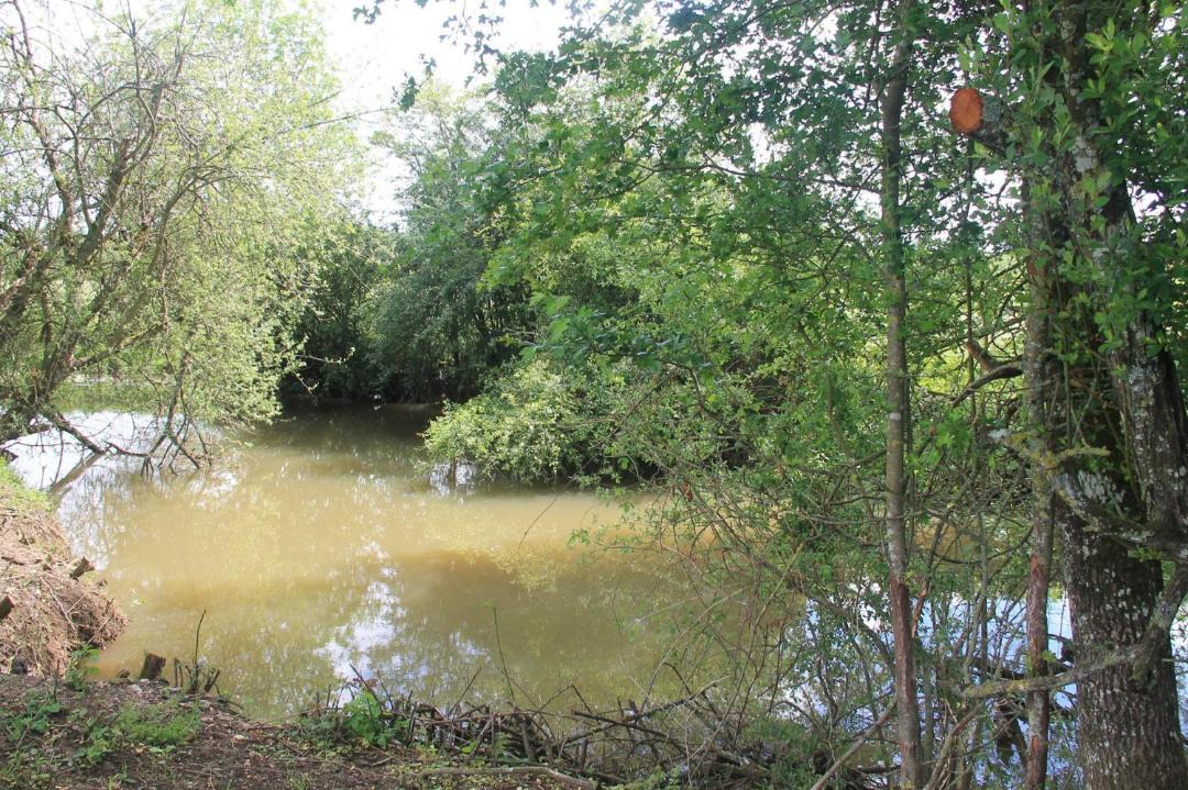 Photo of Outdoor in Cercy-la-Tour