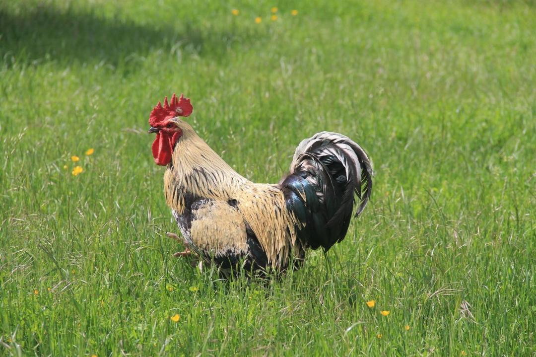 Photo of Others in Cercy-la-Tour