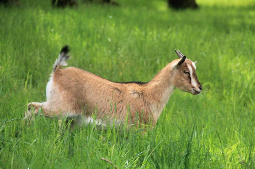 Photo of Others in Cercy-la-Tour