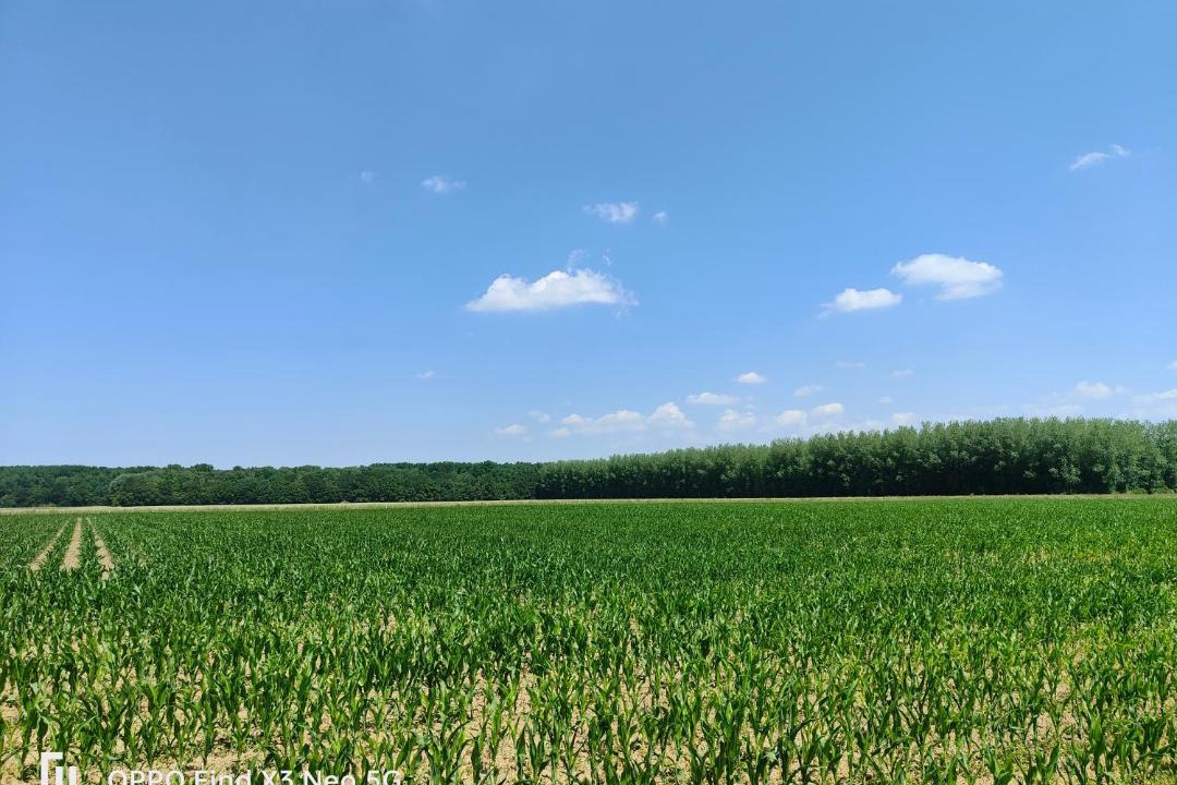 Photo of Others in Haverskerque