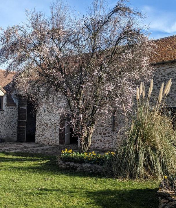 Photo of Others in Courpalay