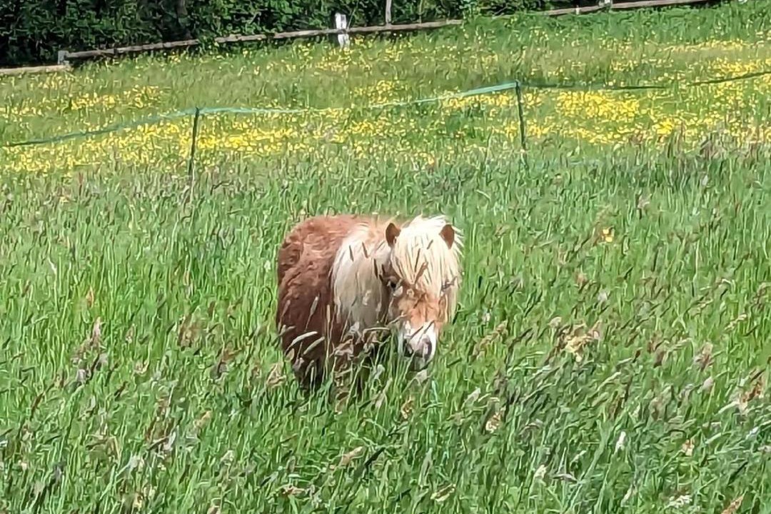 Photo of Others in Courpalay