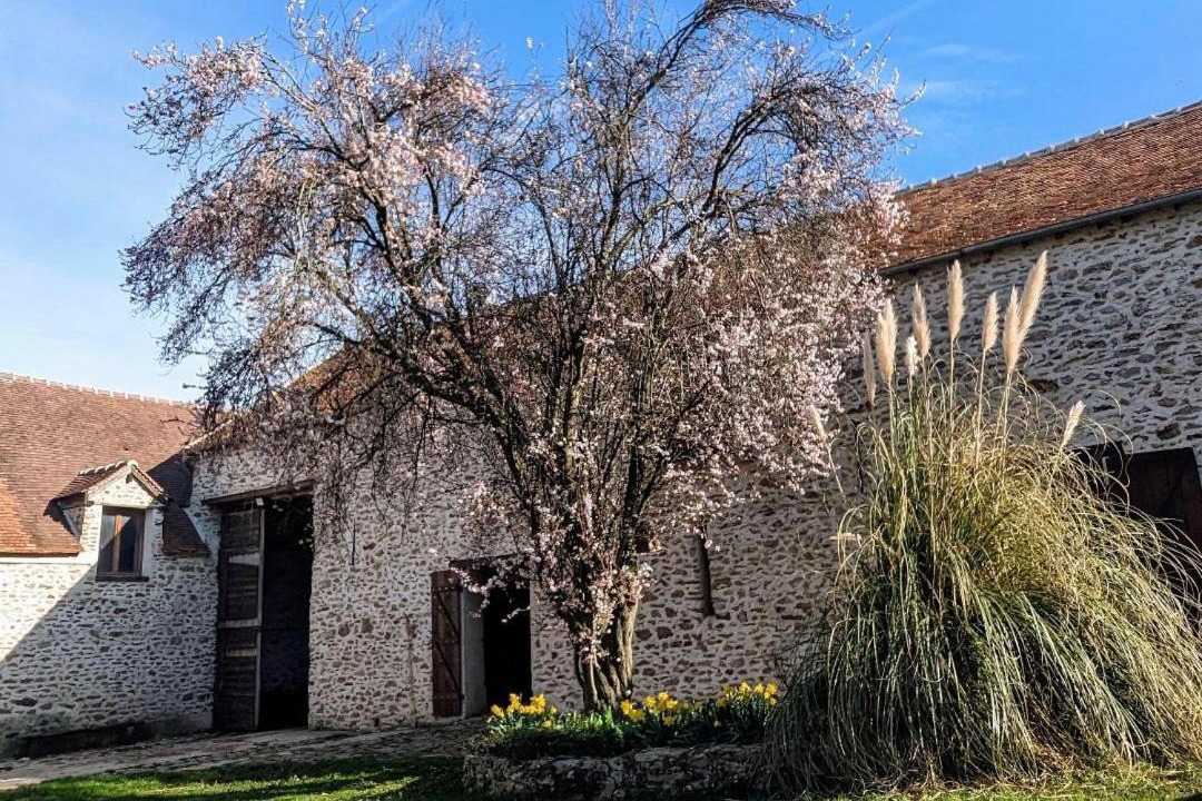 Photo of Others in Courpalay