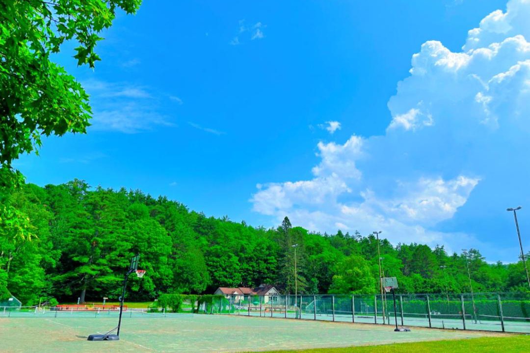 Photo of Others in Chestertown