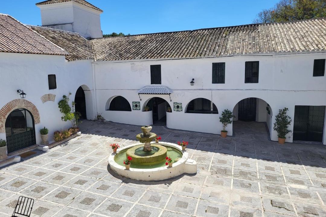 Photo of Buildings in Montellano