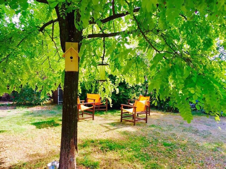 Photo of Others in Sevremont