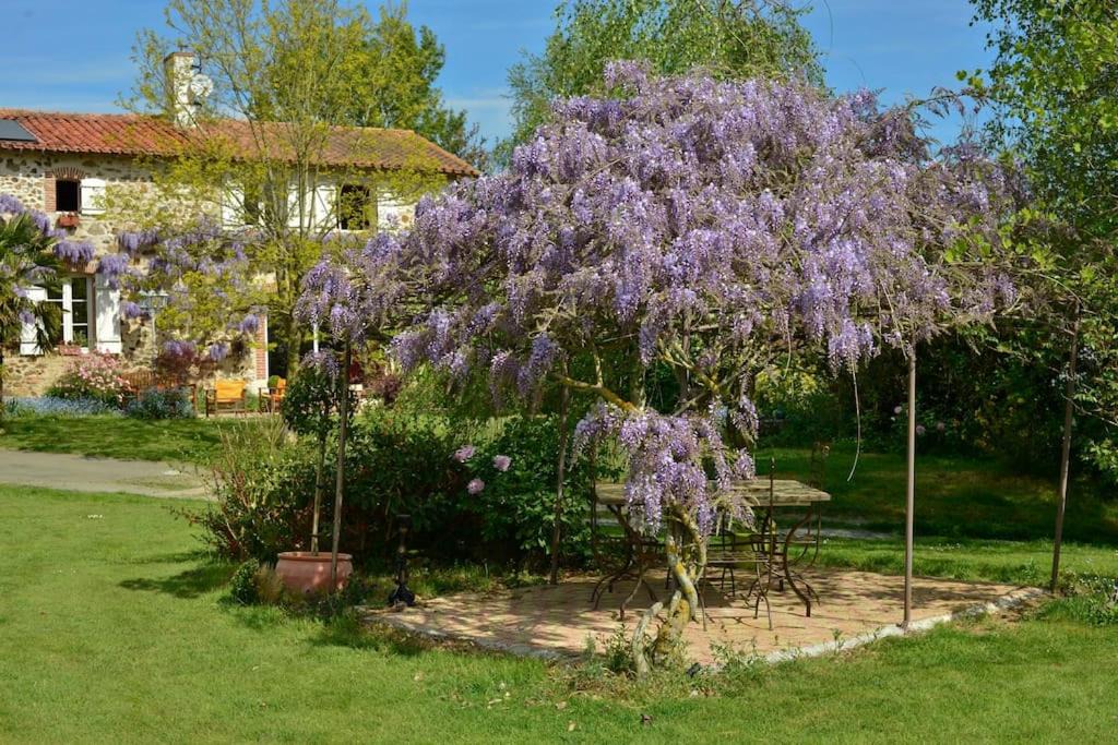 Photo of Others in Sevremont