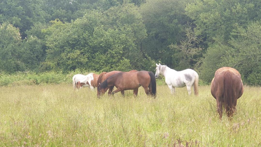 Photo of Others in Moulayres