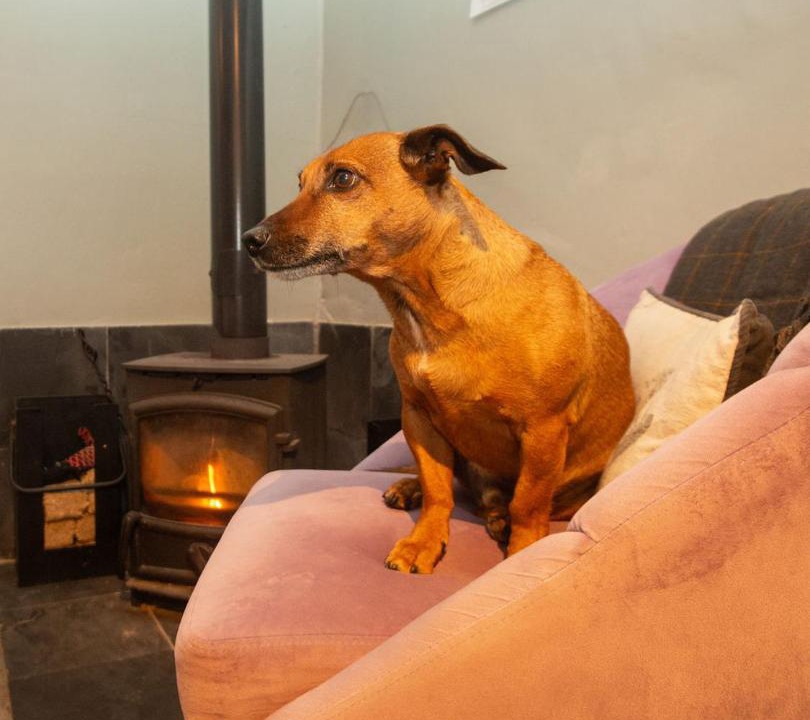 Photo of Others in Easterside